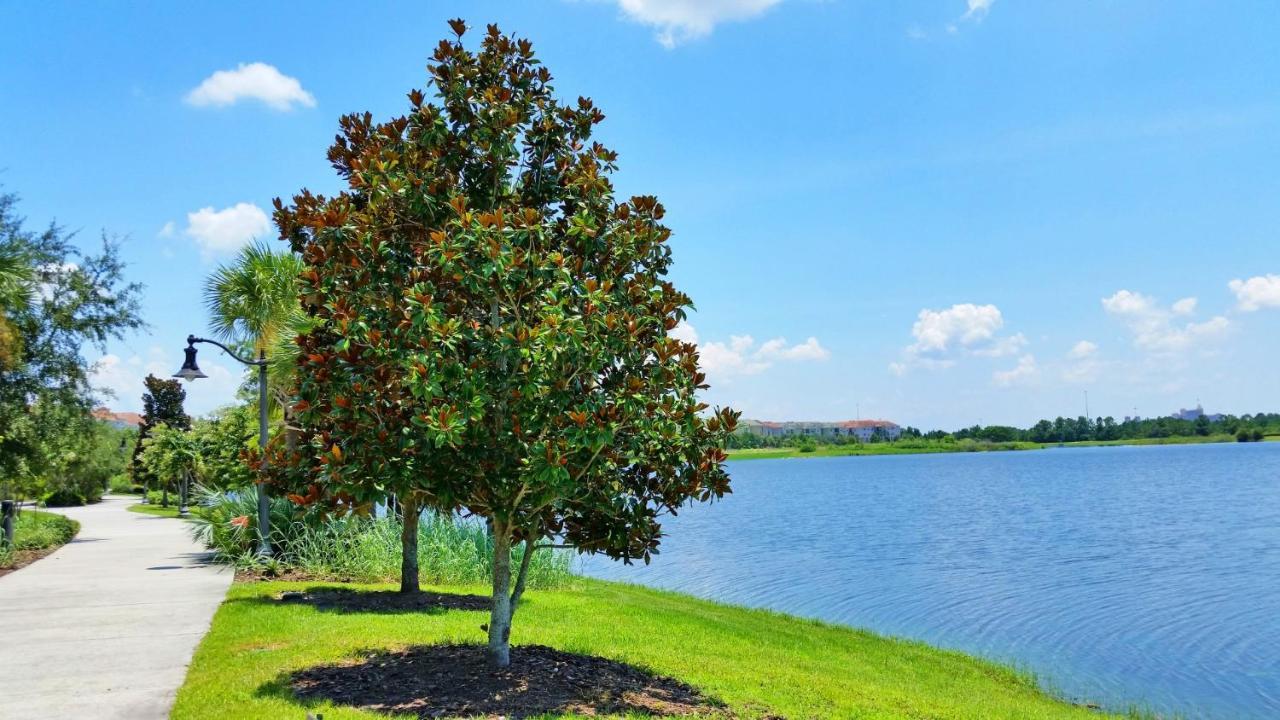 4804 Cayview Ave #105 Villa Orlando Exteriör bild